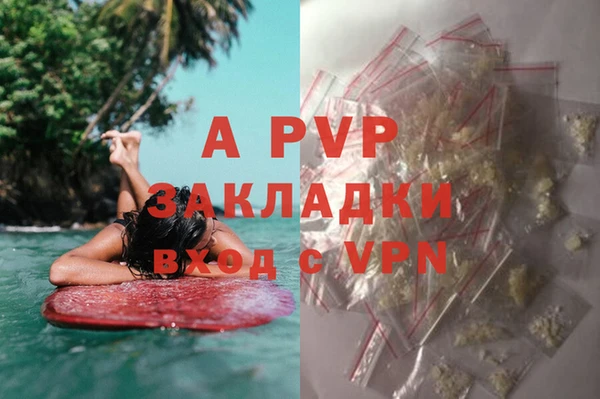 ECSTASY Магас