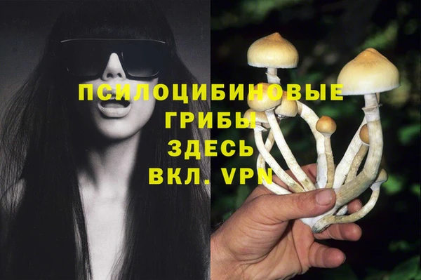 ALPHA PVP Магадан