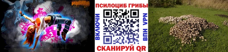 ссылка на мегу ONION  где продают наркотики  Новотитаровская  Галлюциногенные грибы прущие грибы 